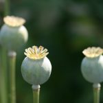 CCTV5今日NBA直播赛程表:完整赛事时间与球队对阵详情 712j4s