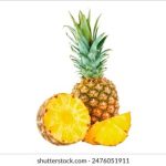 CCTV4今日现场直播:直击全球热点事件实时追踪 n4sb5