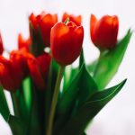 CCTV4中文国际频道高清直播——实时观看全球热点新闻 p39udbn