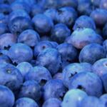 《新闻联播》今日直播:最新时政要闻与深度报道全接触 n37z4