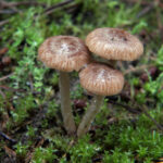 《新闻联播》13频道高清直播在线观看 pb0698p9t