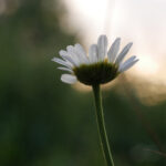 《新闻联播》完整版高清直播回看 xwv506rpop